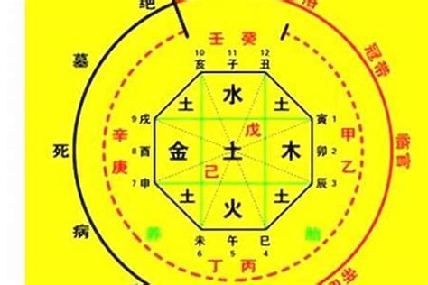 喜用神金意思|什么是八字喜用神 (喜用神和五行的补救方法)